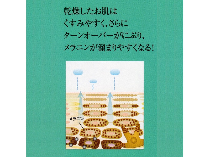 ナガセ ビューティケァ 健康食品 化粧品 通信販売 アルカンジュ