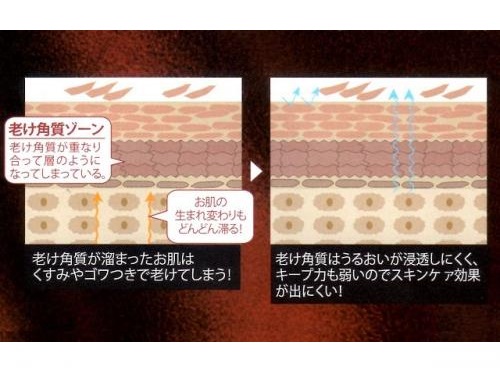 ナガセ ビューティケァ 健康食品 化粧品 通信販売 アルカンジュ