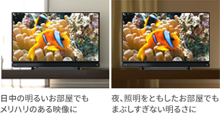 S20/TOP｜テレビ｜REGZA：東芝