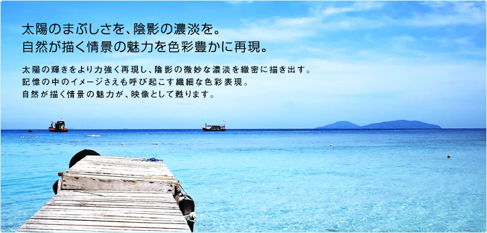 Z8/TOP｜テレビ｜REGZA：東芝