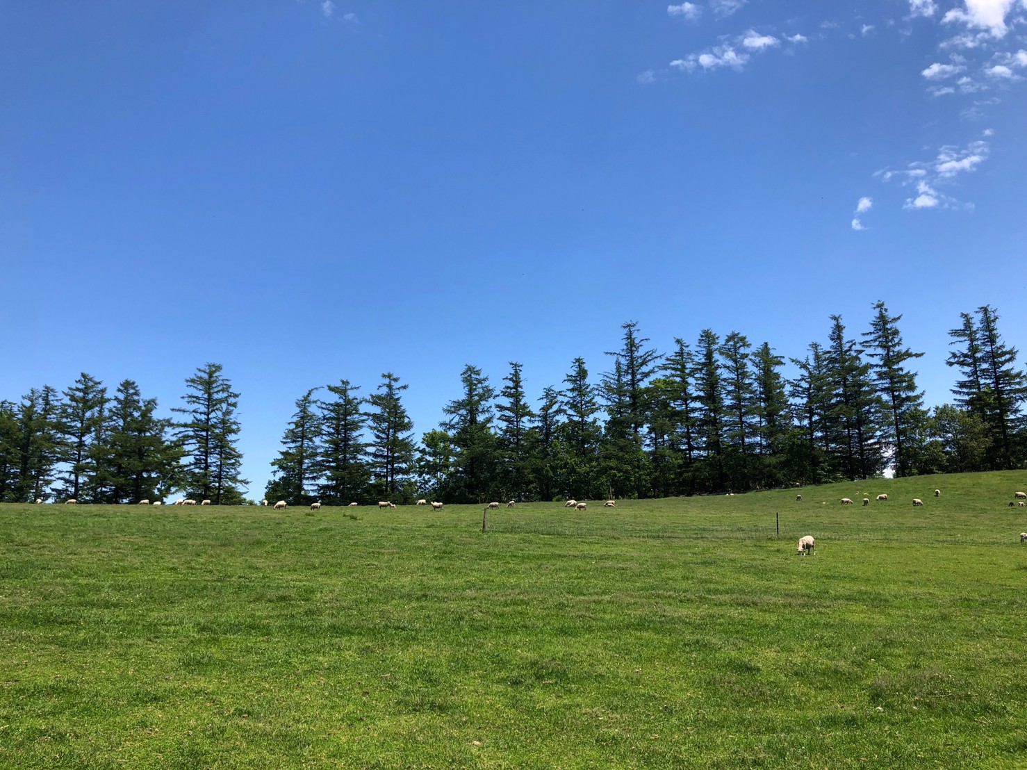 ARCH×SOLNORD Hand Frame Knitted STYLE | ARCH アーチ - Sapporo / Tokyo