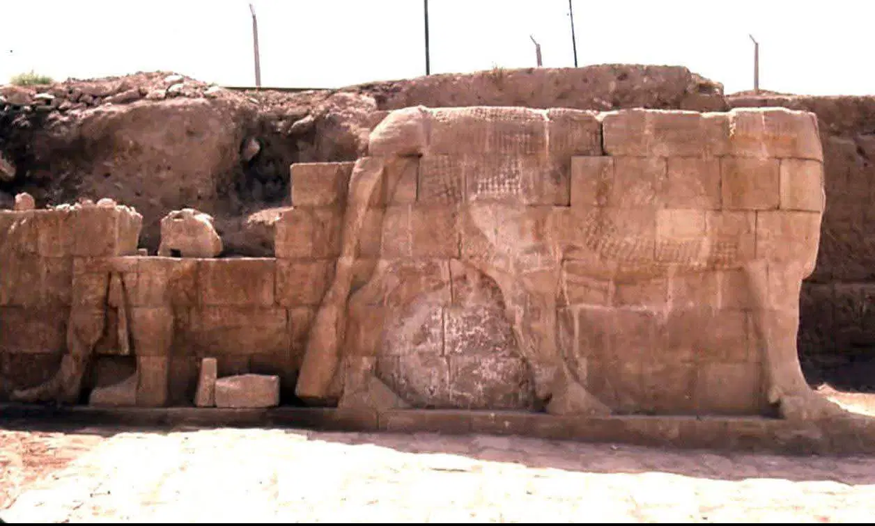 New Discoveries in Nineveh: Archaeologists Unearth Fifteen Lamassu