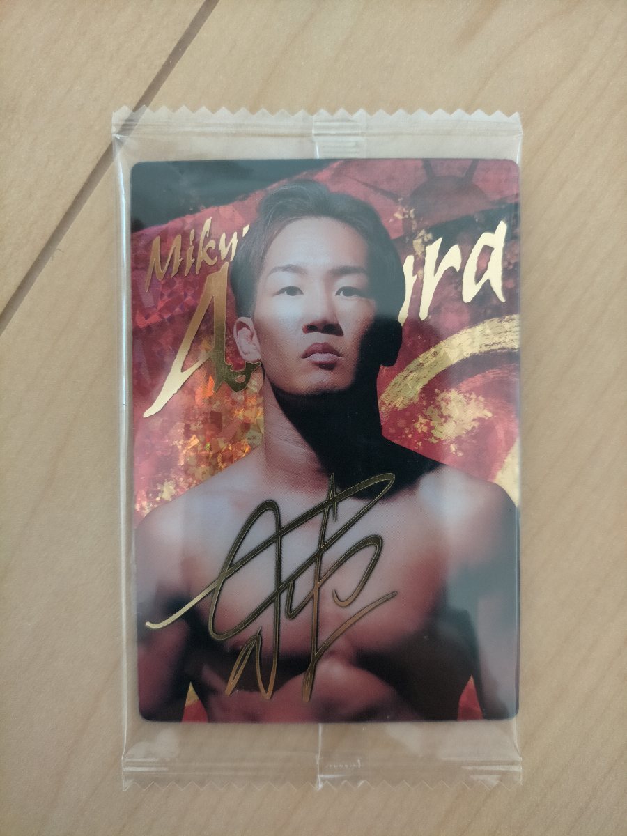 朝倉未来 サインの値段と価格推移は？｜2件の売買データから朝倉未来