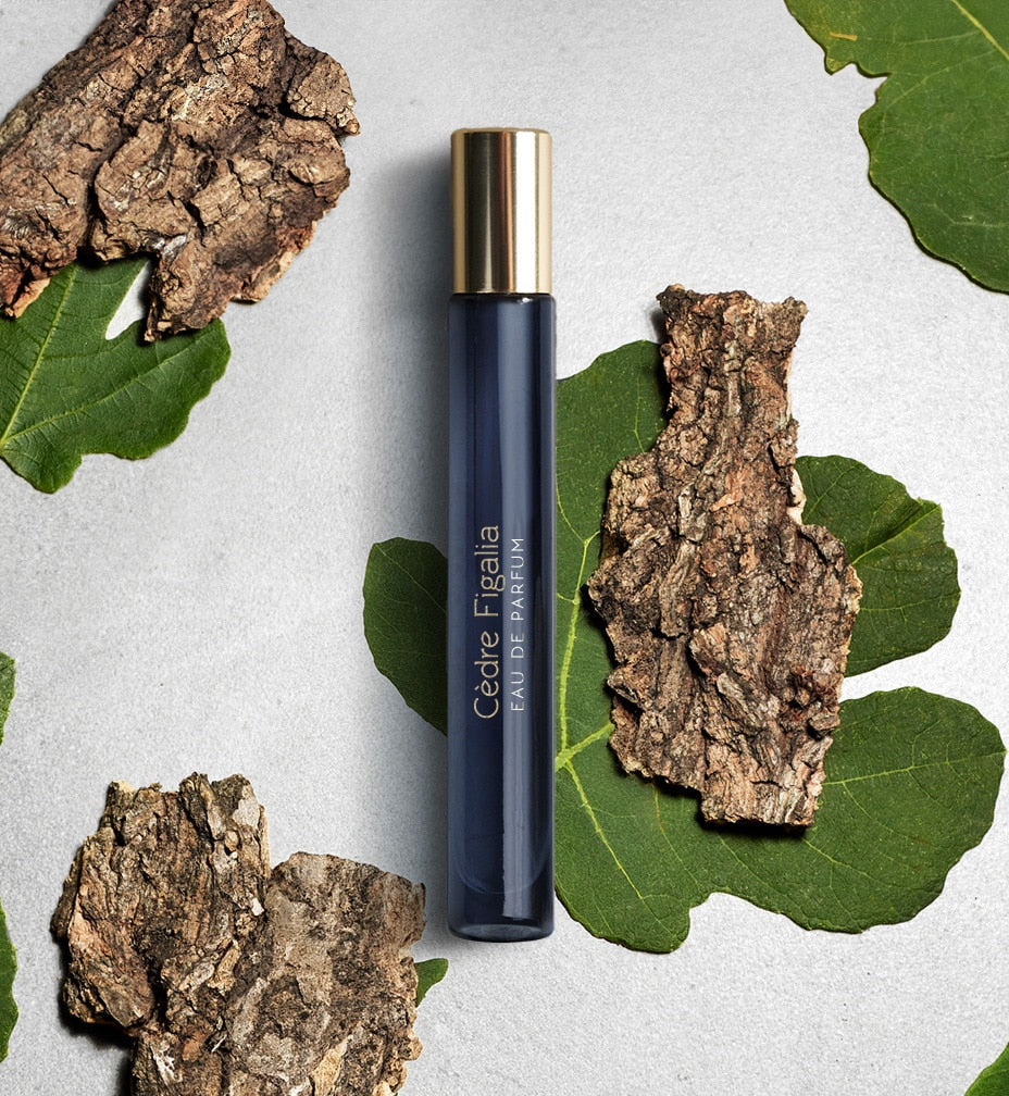 Cedre Figalia - Vegetal, Woody Unisex Perfume | Atelier Materi