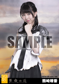 2017年2月22日(水)発売 SKE48 2ndアルバム「革命の丘」法人別特典詳細