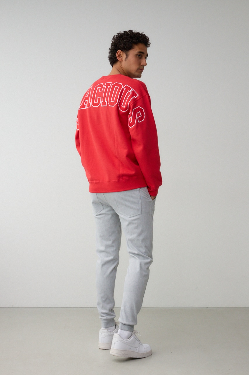 GRACIOUSスウェットトップス｜MEN｜251HAC90-315I｜AZUL BY MOUSSY