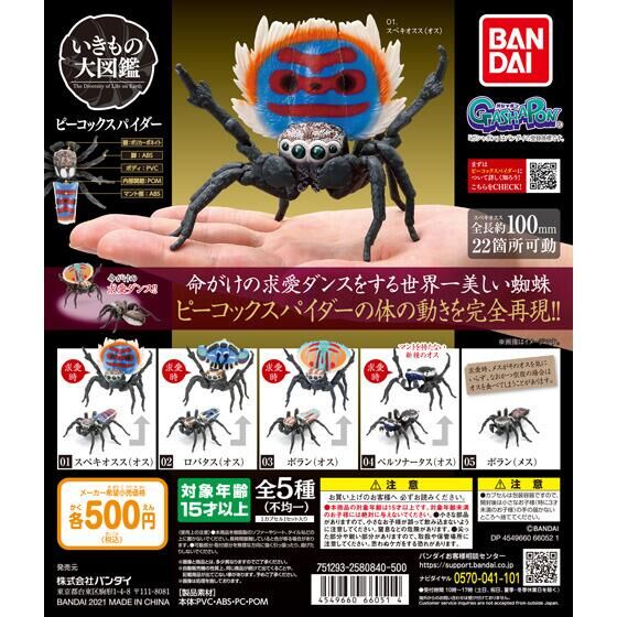 新品 廃盤 ジェリーキャット 蜘蛛 クモ くも スパイダー spider 虫