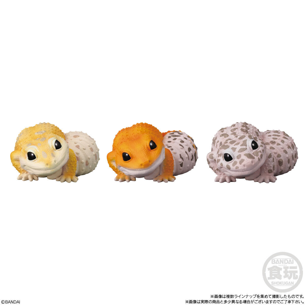 てのりフレンズ6(12個入) | フィギュア | アニメグッズ ・おもちゃなら
