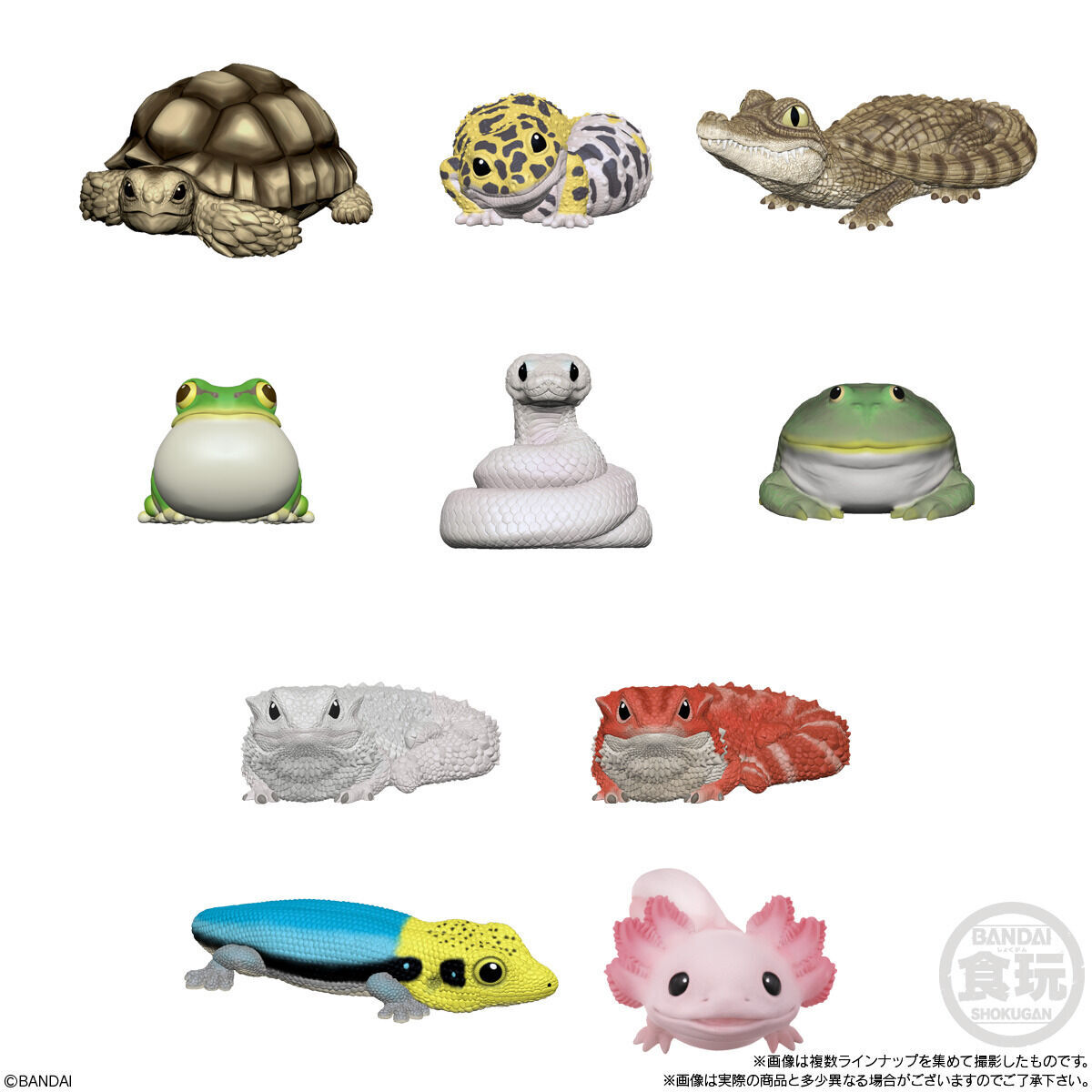 てのりフレンズ8(12個入) | フィギュア | アニメグッズ ・おもちゃなら