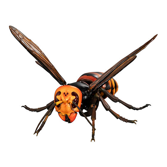 いきもの大図鑑アドバンス スズメバチ02｜ガシャポンオフィシャルサイト