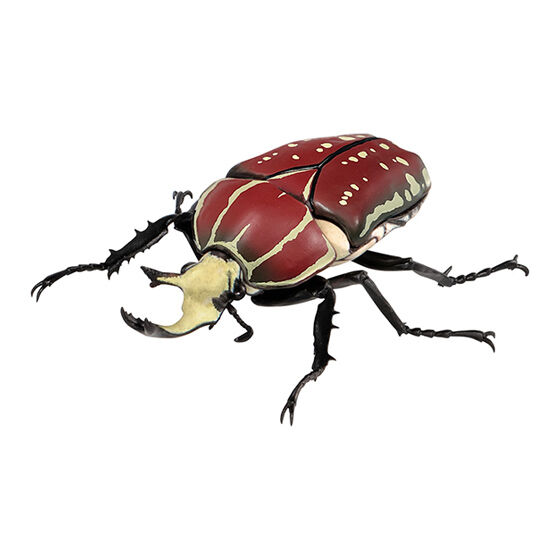 いきもの大図鑑 かぶとむし08｜ガシャポンオフィシャルサイト