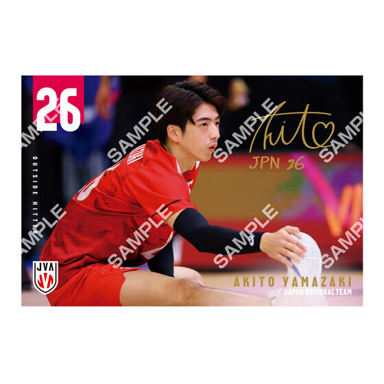 フラットガシャポン】バレーボール男子日本代表 ポストカード