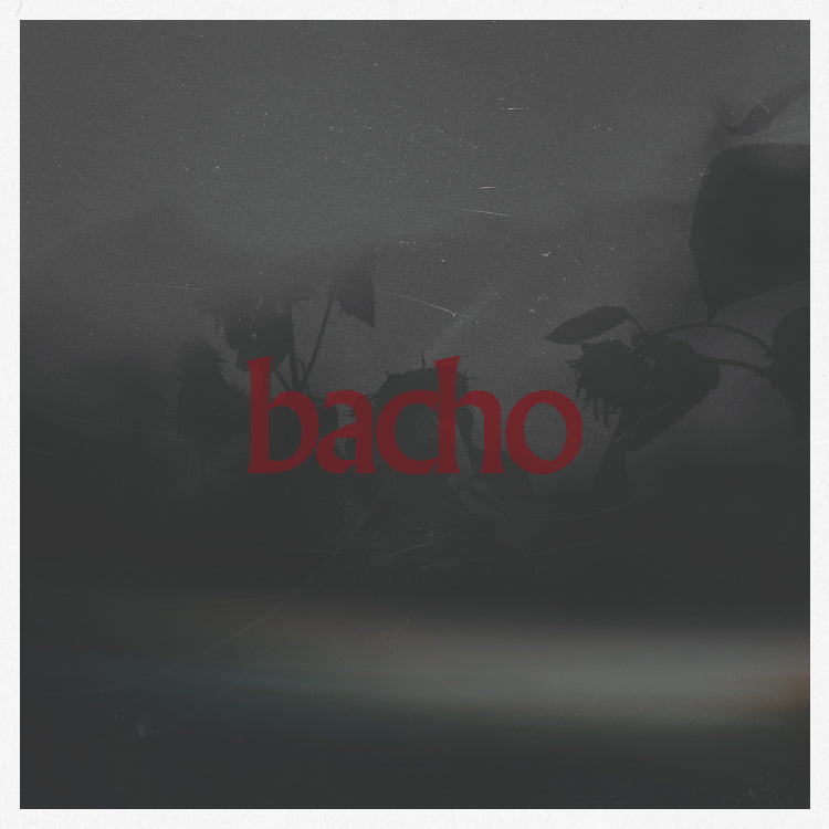 Single – bacho / Online Store