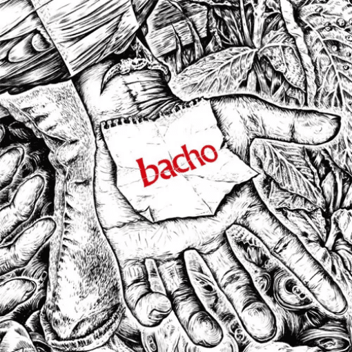 DISCOGRAPHY｜bacho Official Website