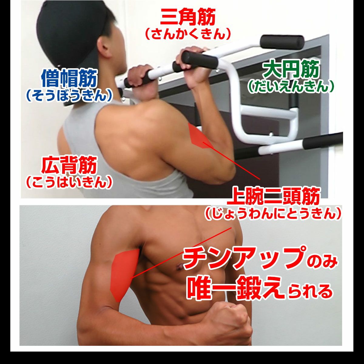 懸垂 自宅 ドア どこでもマッチョ PRO2 チンニング 鉄棒 ぶら下がり