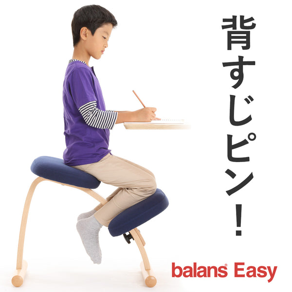 balans バランスチェアイージー Balans EASY バランスイージーサカモト