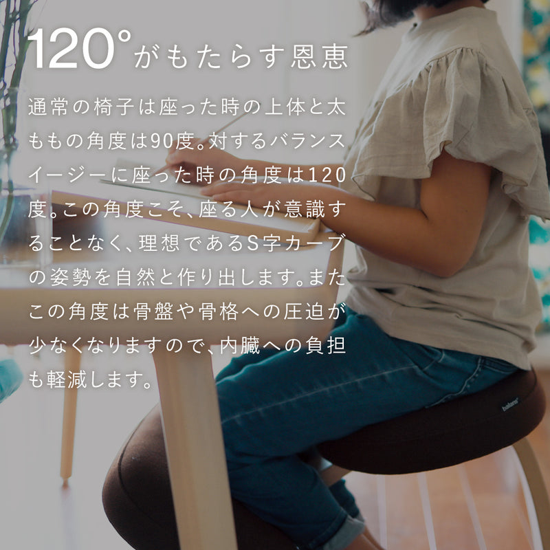 極美品】バランスチェア Balans easy バランスイージー バランスラボ