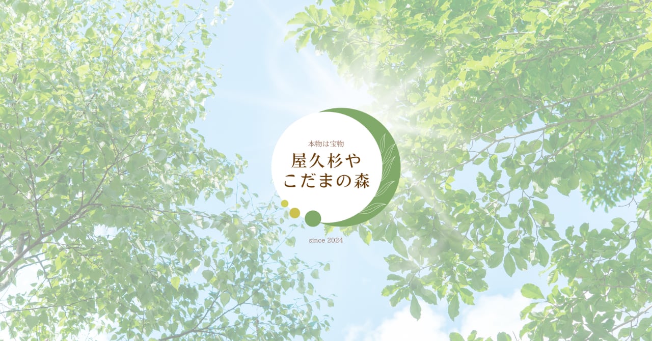 ラピスラズリブレスレット | 屋久杉や こだまの森