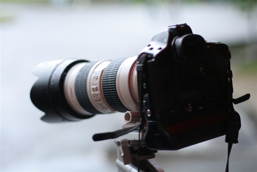安心して使えるカメラです。』 CANON EOS-1V ボディ のクチコミ掲示板
