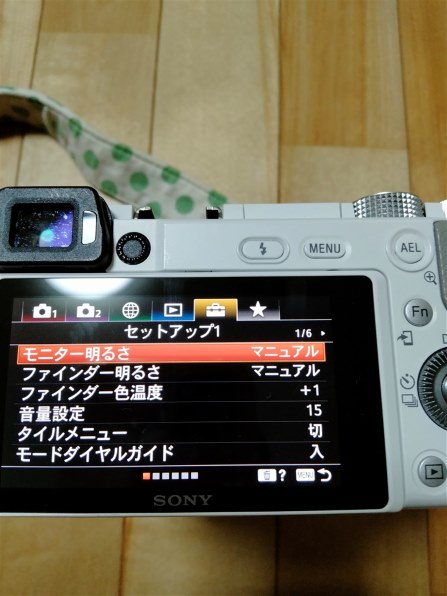 SONY α6100 ILCE-6100Y ダブルズームレンズキット投稿画像・動画
