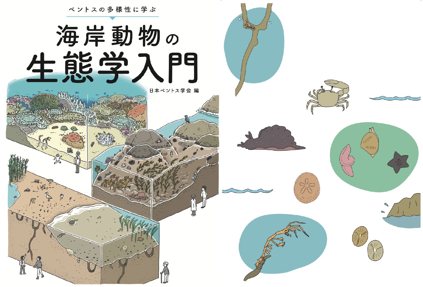 日本ベントス学会ウェブサイト