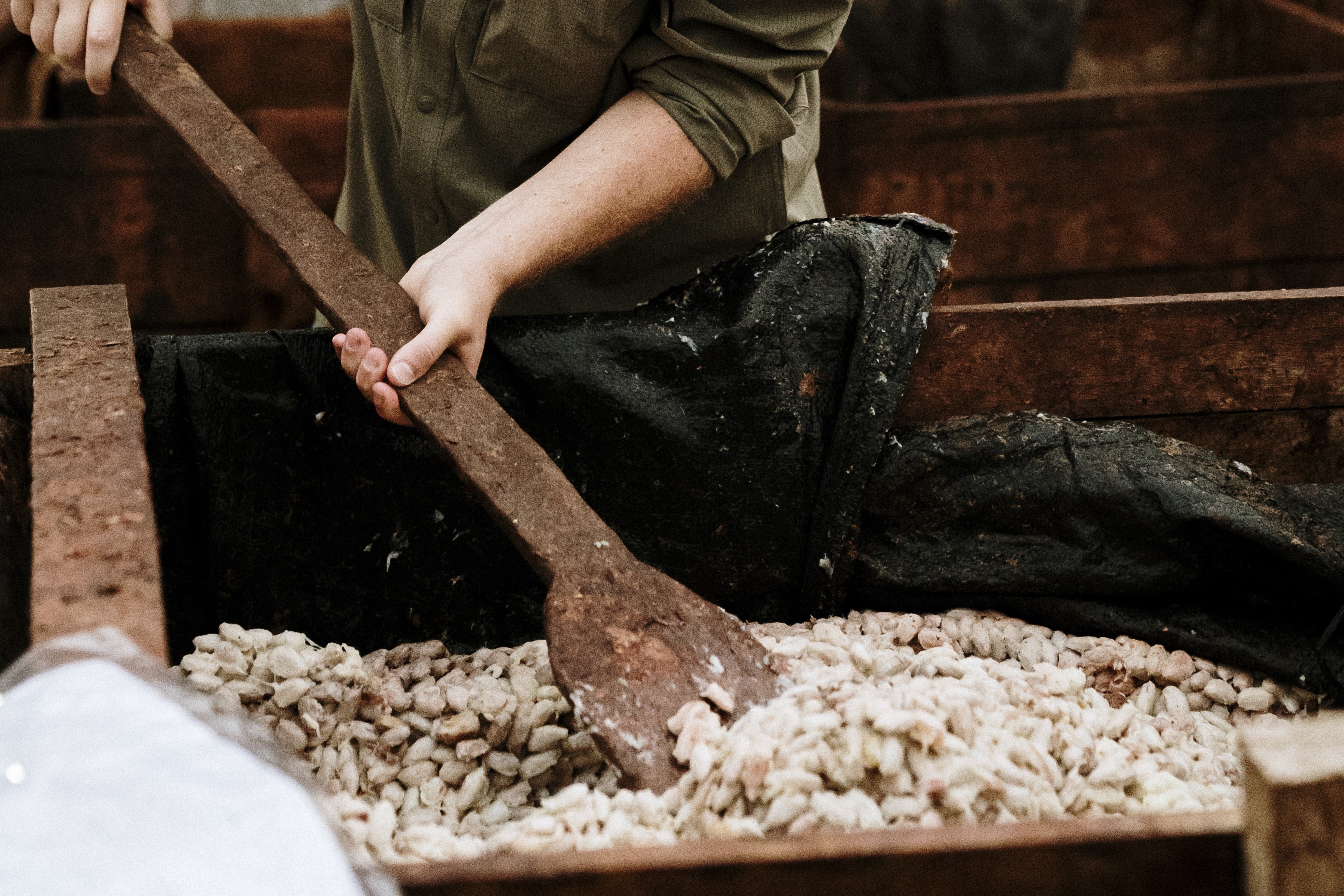 フィンカ ルイ デ シサ｜ブノワ・ニアン（BENOIT NIHANT）オンライン