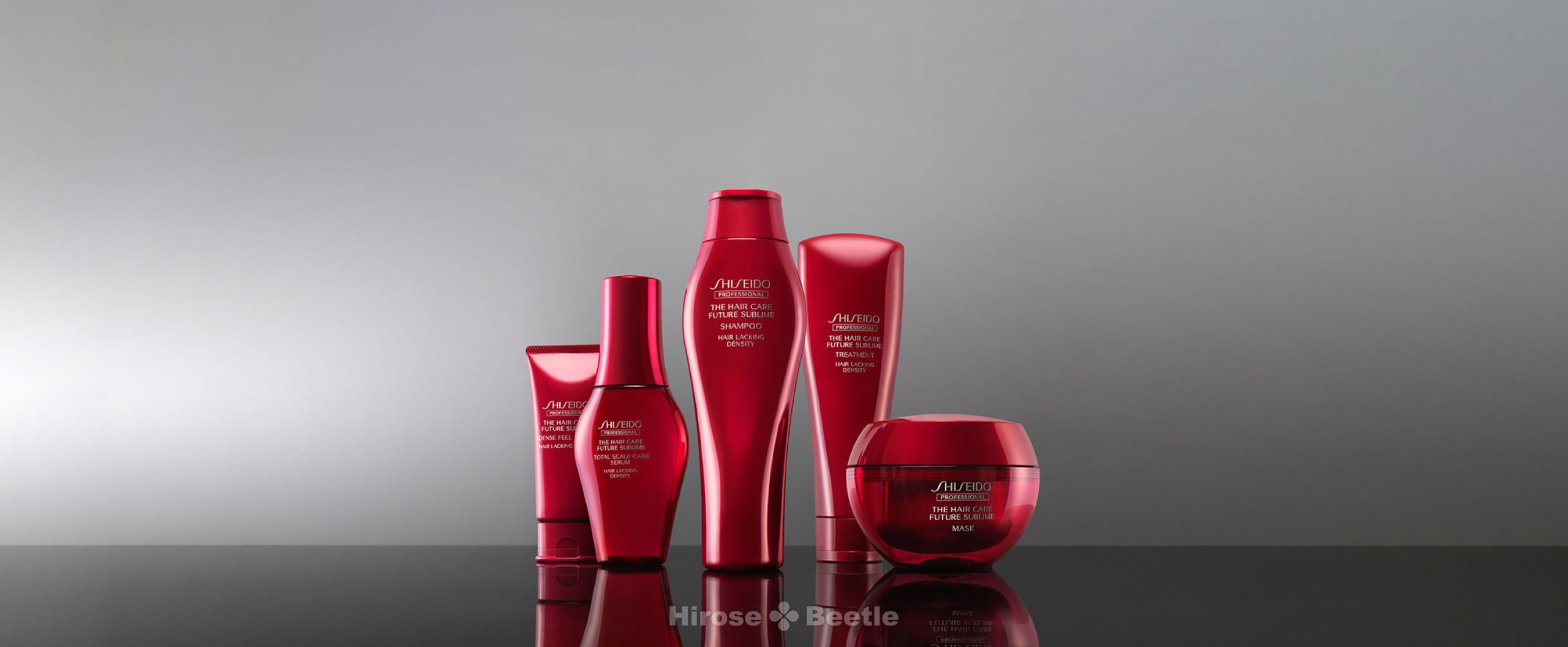 フューチャーサブライム｜取り扱い商品｜Hirose-Beetle