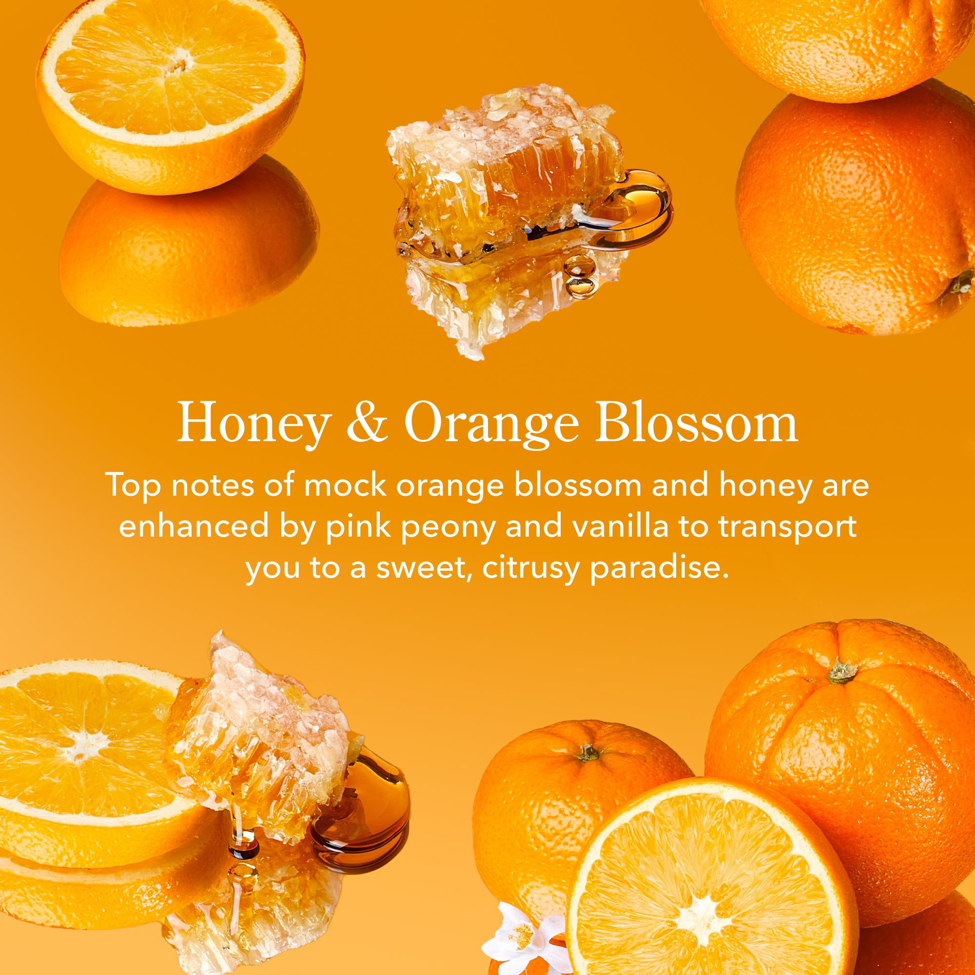 Honey & Orange Blossom Bodycare Minis Discovery Kit