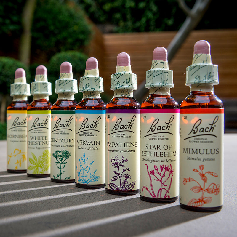 バッチフラワーレメディ プロフェッショナルセット（木箱付き