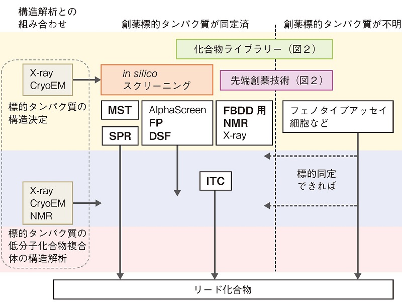 低分子・中分子創薬における相互作用解析ナビ：日経バイオテクONLINE