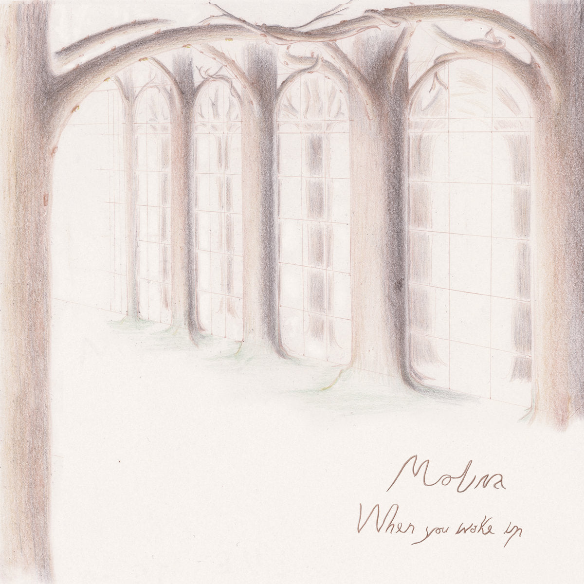 2024年11月のアーカイブ – BIG LOVE RECORDS