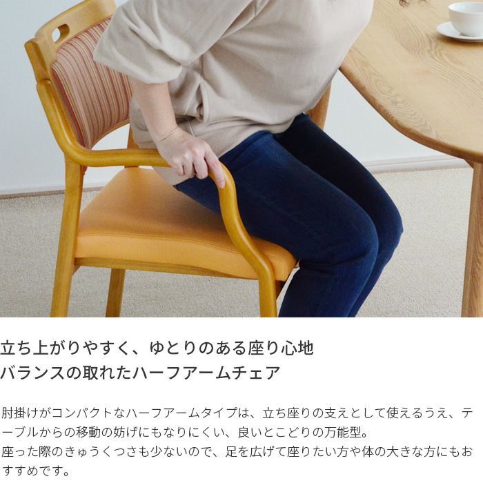 介護椅子 ケアチェア ハーフアームタイプ Care-112-HAC | Bigmories