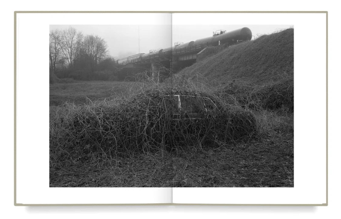 Mark Steinmetz - Taken from Light – Bildband Berlin