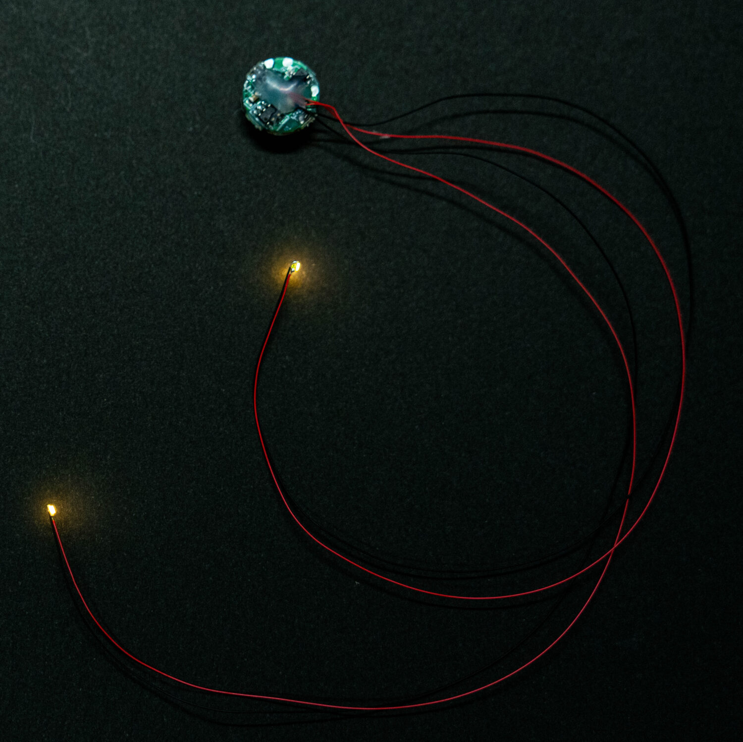 MMGLW2 磁気スイッチ付LEDモジュール2灯リード線仕様 — ビット