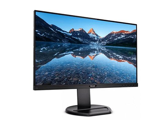 フィリップス製23.8型IPSディスプレイ (型番：243B9/11)｜VAIO公式