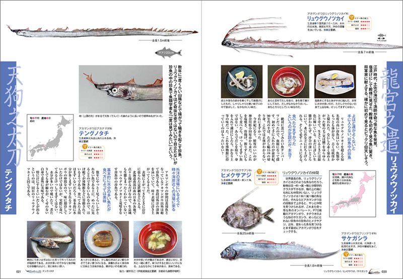 美味しいマイナー魚介図鑑 | マイナビブックス