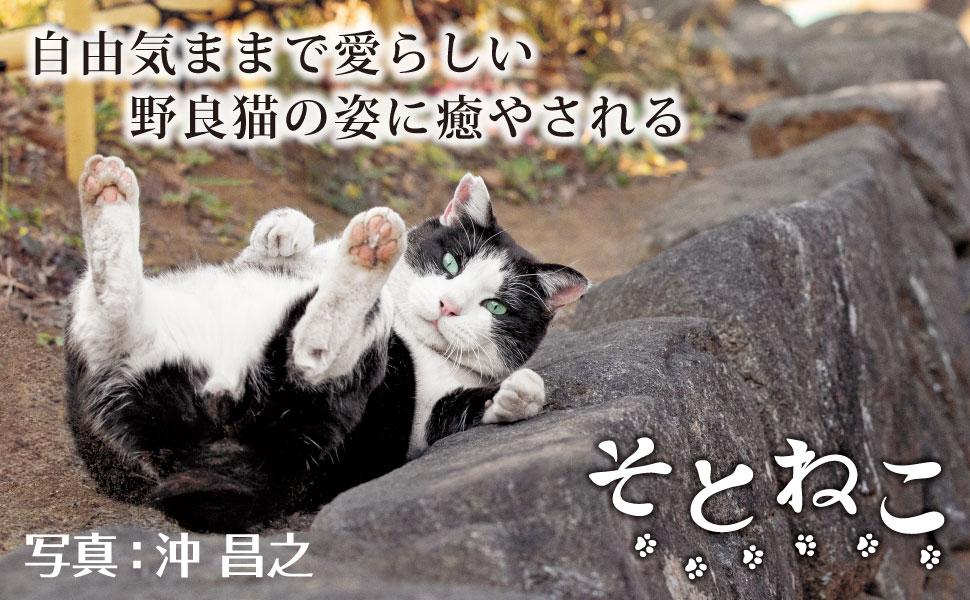 そとねこ - インプレスブックス