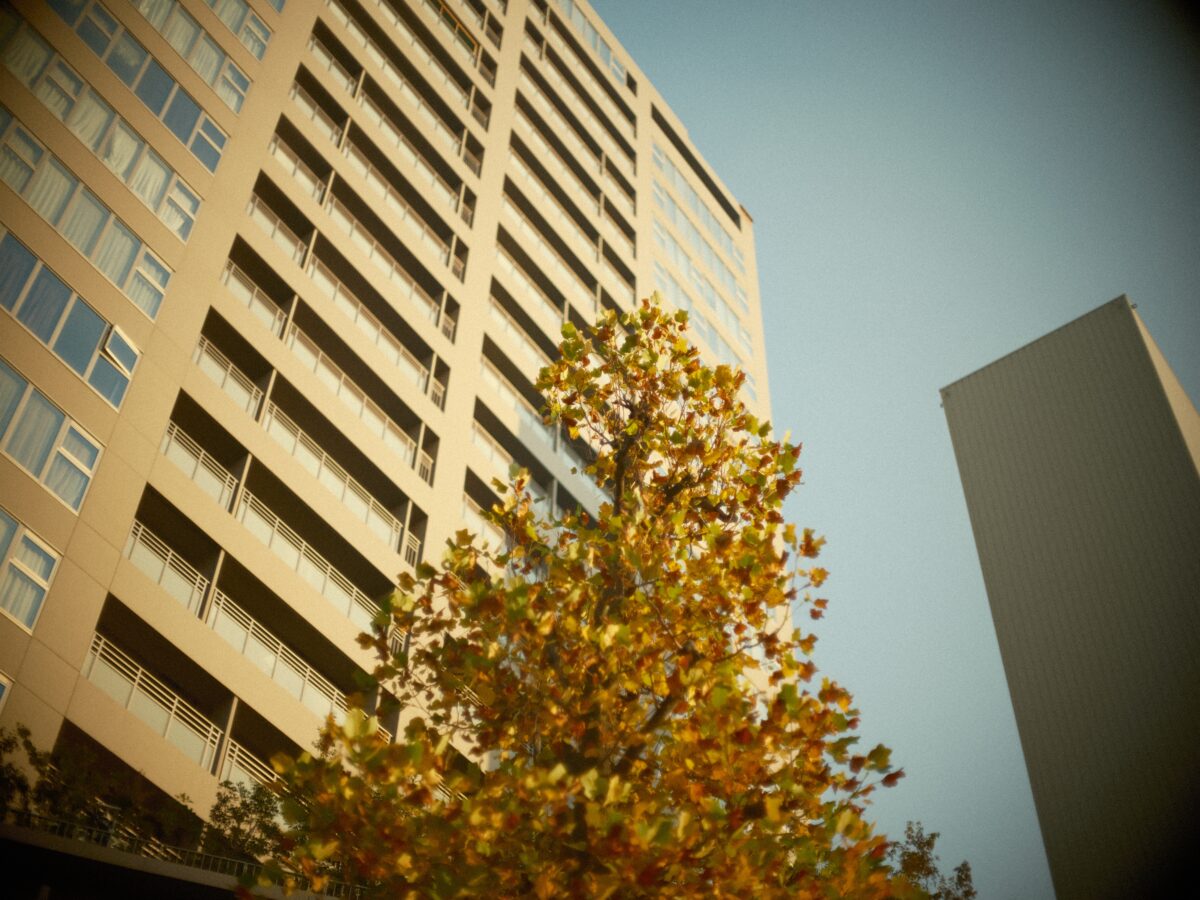 GFX × オールドレンズ。「MINOLTA MC ROKKOR-PG 58mm F1.2」 | BORN