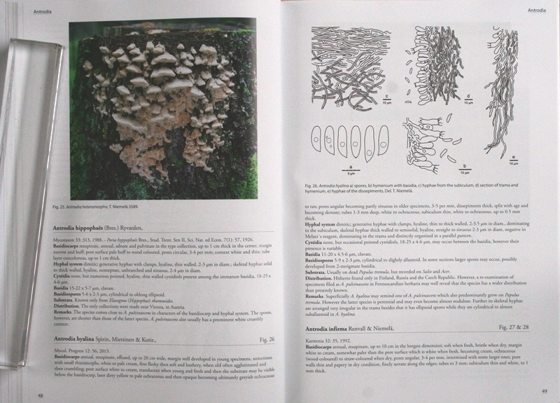 Poroid fungi of Europe 2nd Edition」（ヨーロッパの管孔をもつ菌類