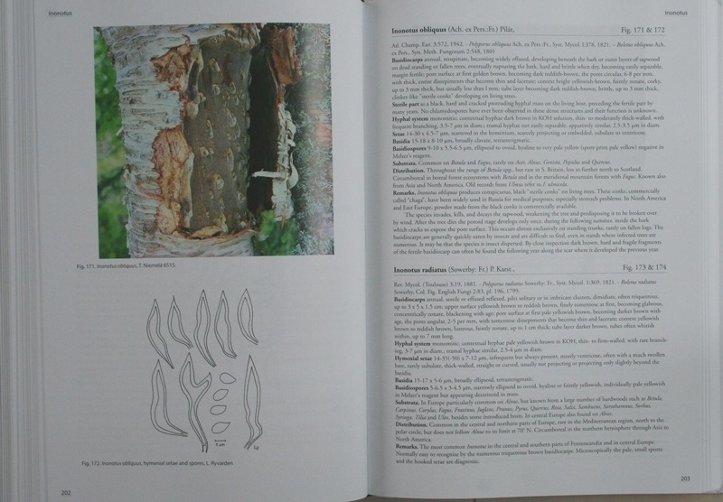 Poroid fungi of Europe 2nd Edition」（ヨーロッパの管孔をもつ菌類