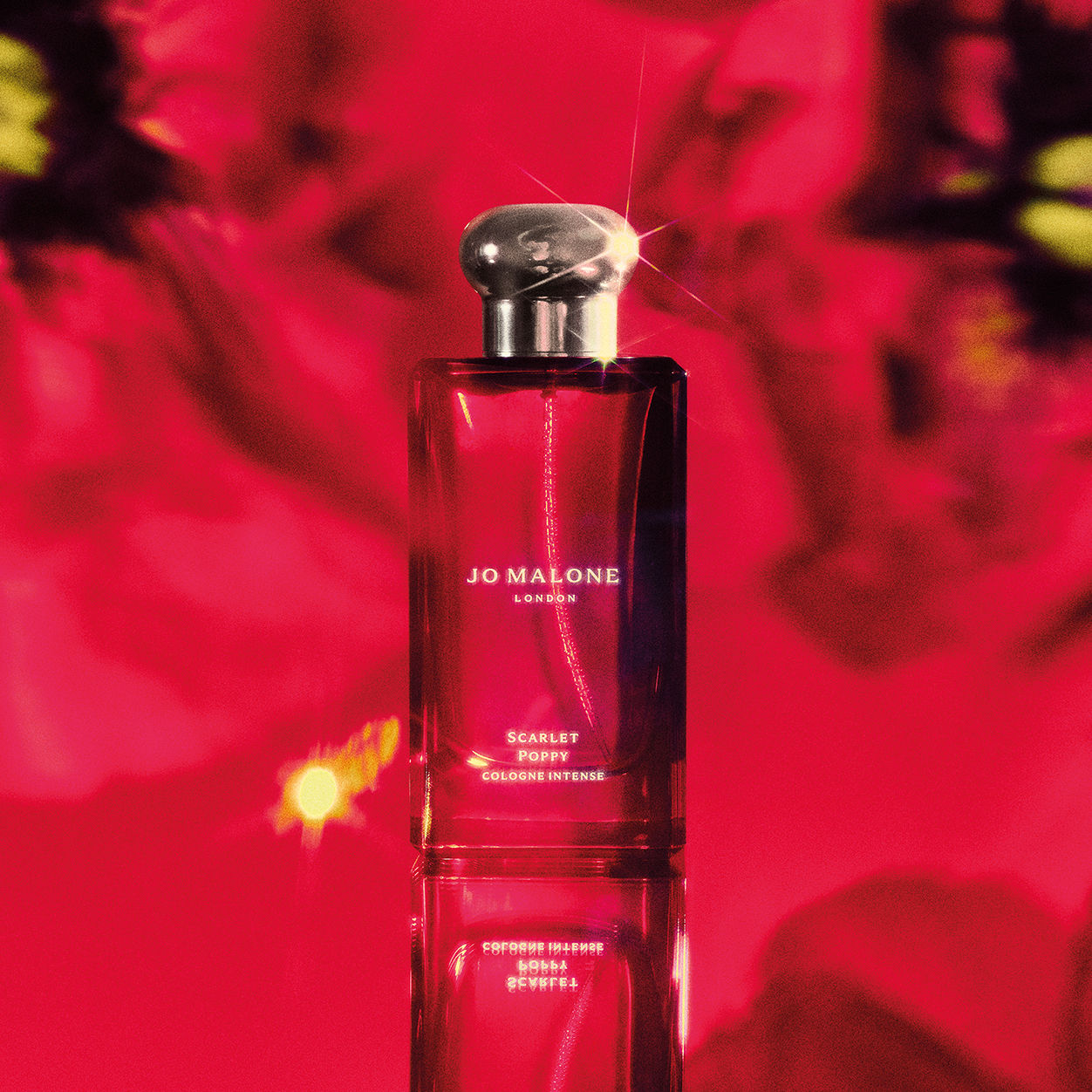 Jo Malone London Scarlet Poppy Cologne Intense – Jo Malone London