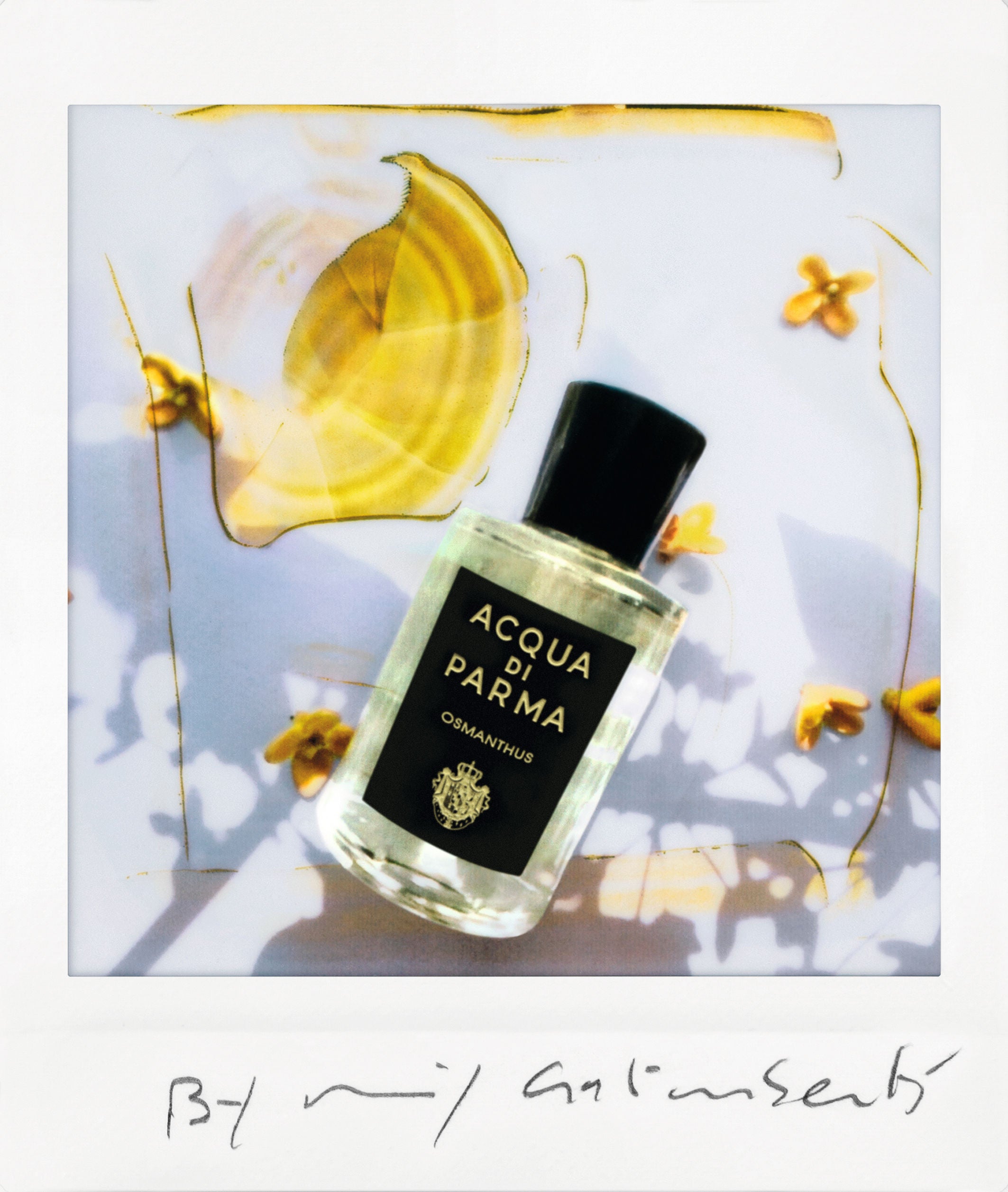 Acqua di Parma Osmanthus Eau de Parfum – Acqua di Parma – bluemercury