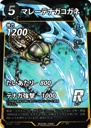 マレーテナガコガネ（マレーテナガコガネ） - 蟲神器ゲート