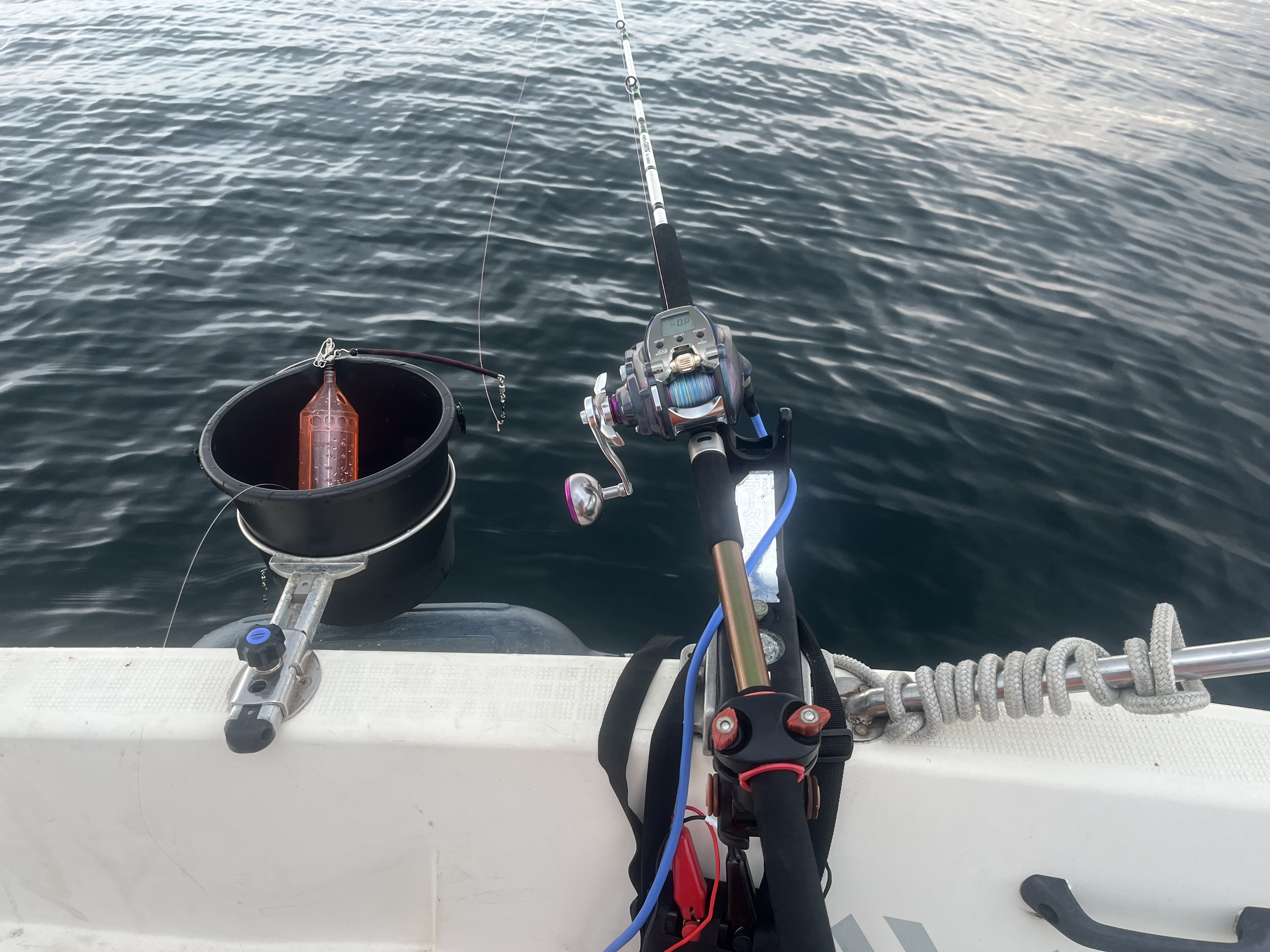 錦江湾の鯛が凄すぎる ＠JUNKOUMARUさん | 釣り具販売、つり具のブンブン