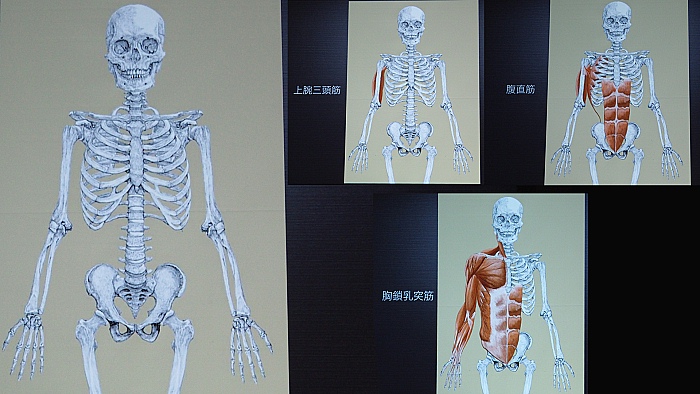 GCC'17レポート：ガチャピンやピカチュウの骨格は？ ゲーム業界