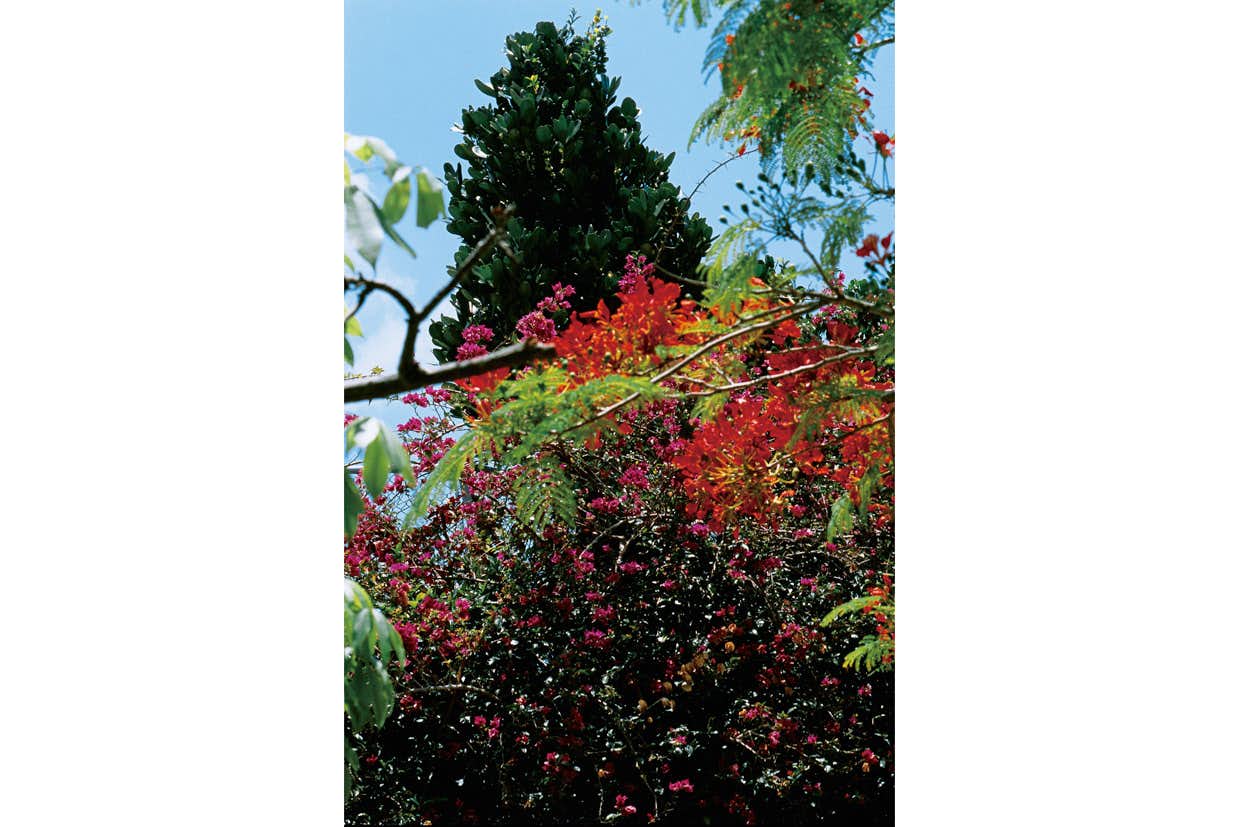 中平卓馬、最後の写真集『沖縄』刊行。沖縄の風景を鮮烈に写す｜美術手帖