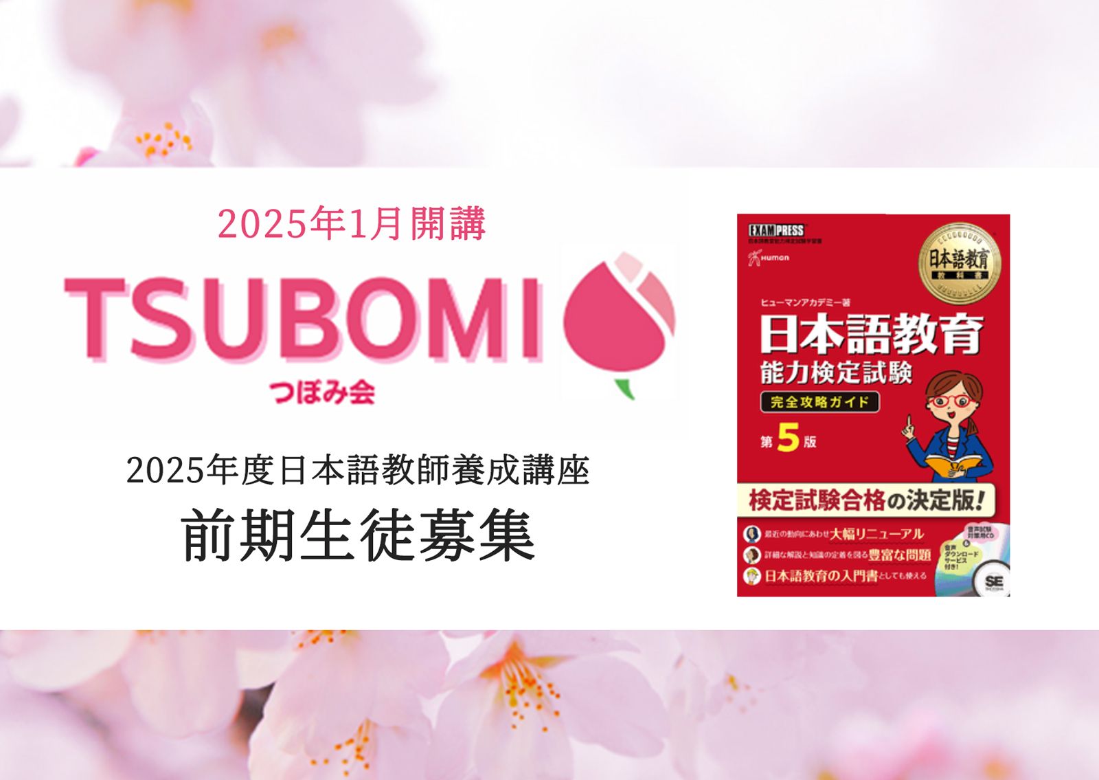 な*こ様 ヒューマンアカデミー日本語教師育成講座15点セット＋日本