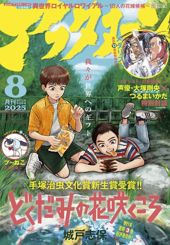 アフタヌーン 2025年8月号 [2025年6月25日発売] - マンガ（漫画