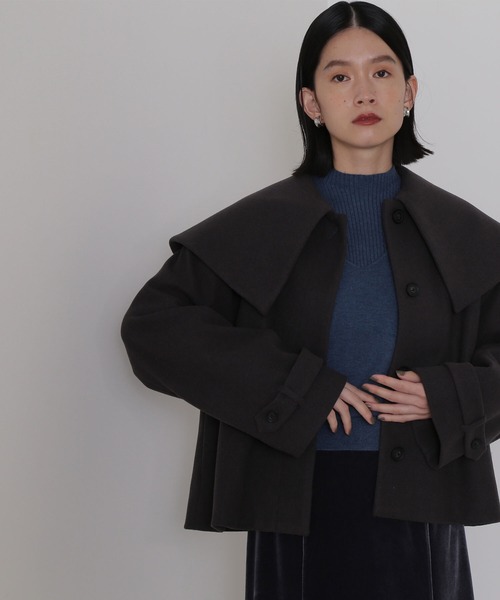 NATURAL BEAUTY BASIC（ナチュラルビューティーベーシック）の「ビック