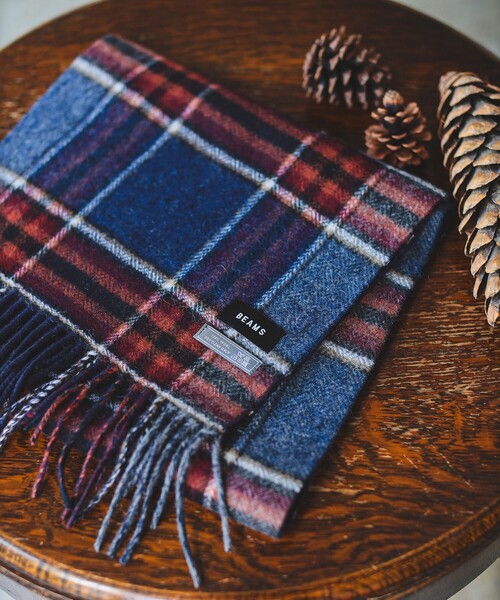 BEAMS（ビームス）の「BEAMS / グラデーション チェック マフラー